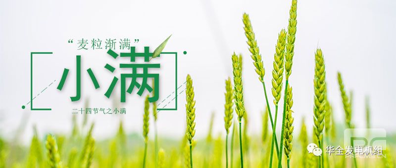 WF發(fā)電機：小滿節(jié)氣！不負良辰，收獲人生幸福